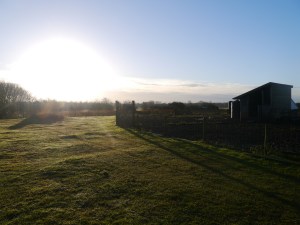 Bright winter morning