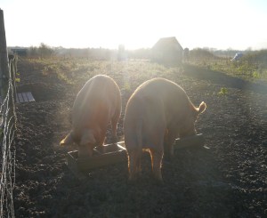 Bonkers and female friend