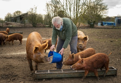 Whyte Wytch Artisan Cheese