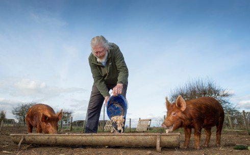 Whyte Wytch Artisan Cheese